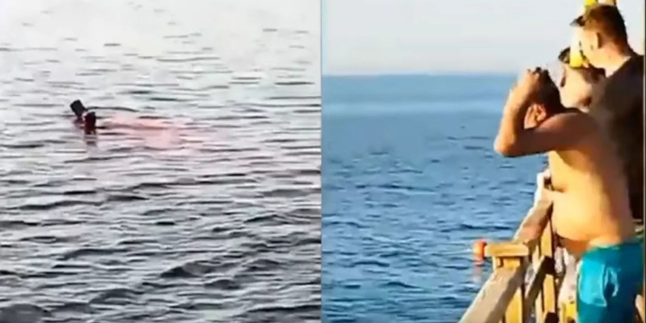 Καρχαρίας κατασπάραξε τουρίστρια μπροστά στα μάτια λουόμενων - Tρόμος σε θέρετρο της Αιγύπτου