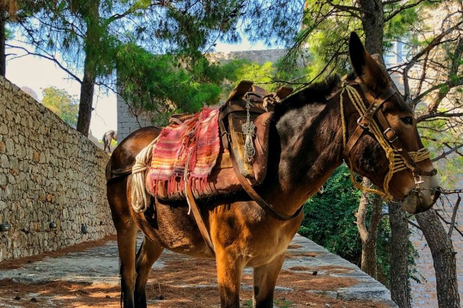 Conde Nast Traveller: Το ελληνικό νησί που είναι πρώτη επιλογή στα ανεξερεύνητα νησιά