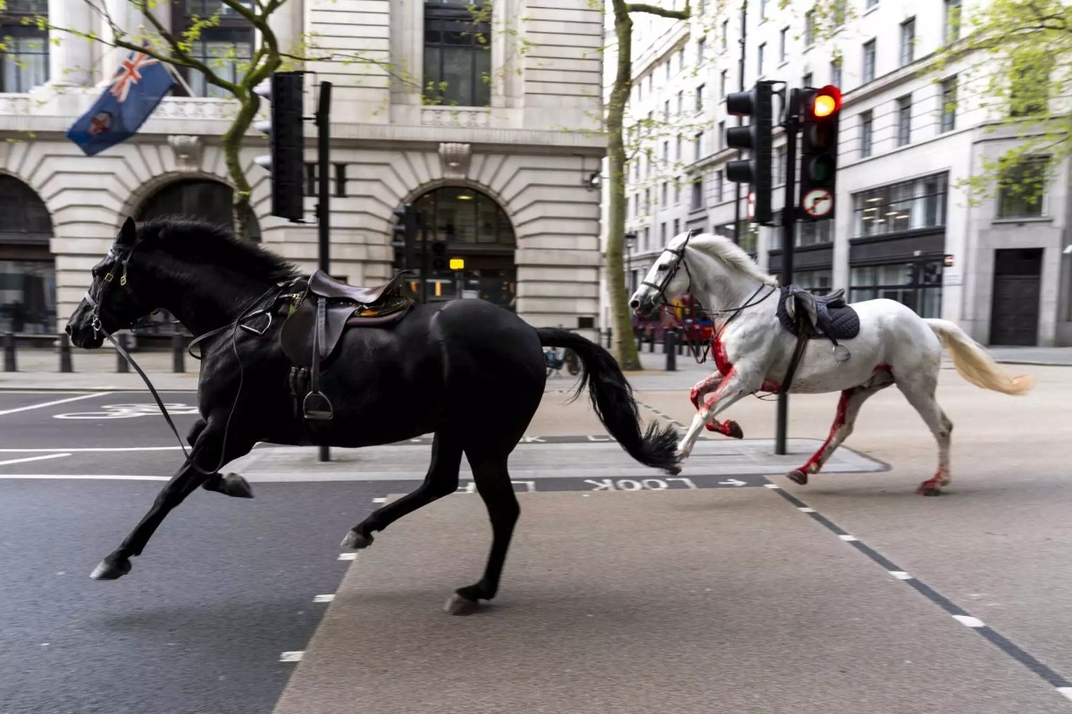 Σε σοβαρή κατάσταση δυο από τα πέντε άλογα που προκάλεσαν πανικό στο Λονδίνο