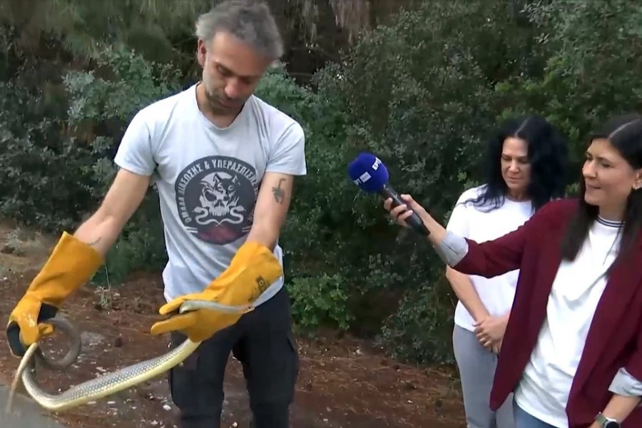 Ανησυχία για τα φίδια στη Θεσσαλονίκη: Έφιος σχεδόν δύο μέτρα αναστάτωσε σπίτι στο Πανόραμα