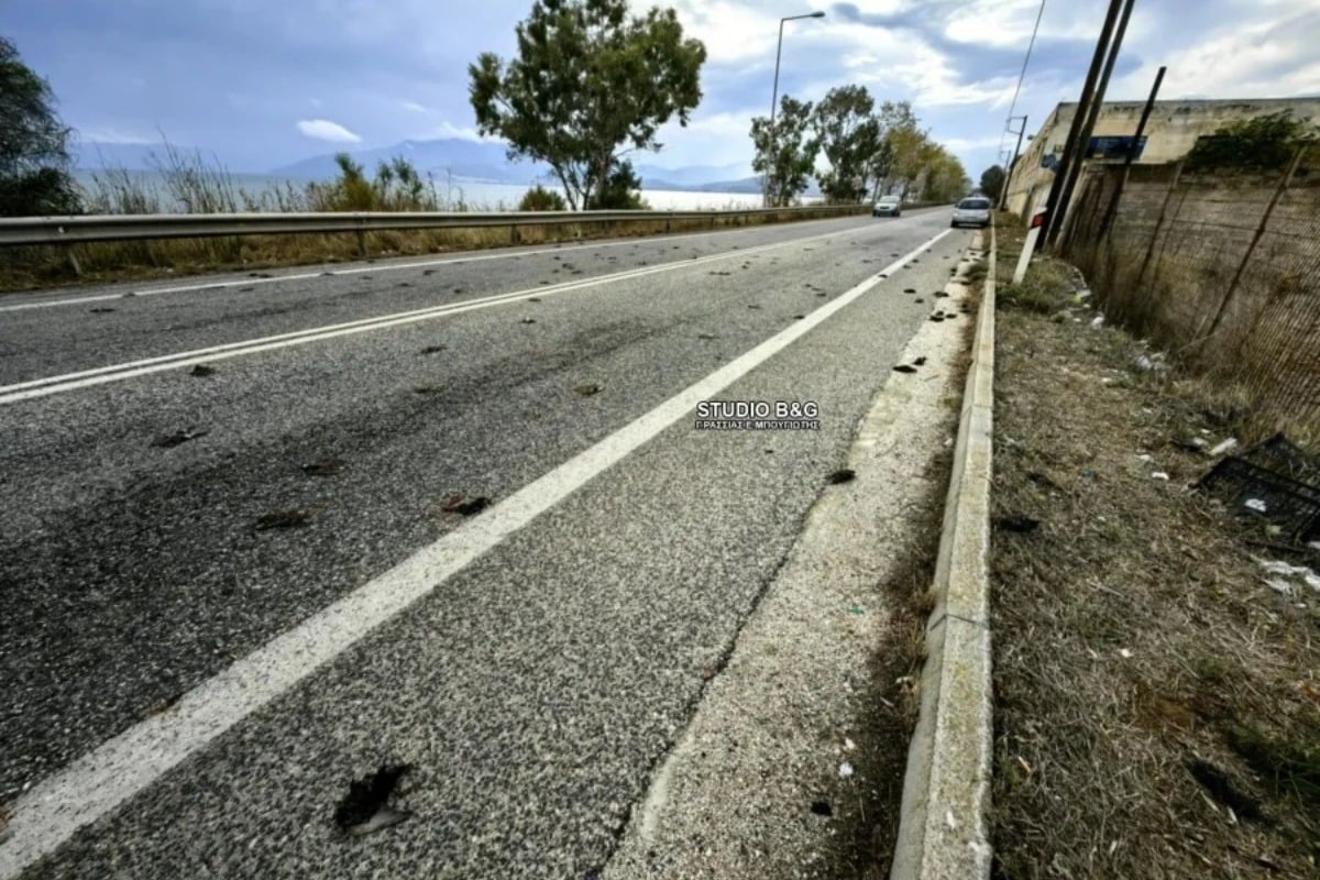 Σε συναγερμό πασίγνωστη μεγάλη πόλη της Ελλάδας – «Βρέχει» νεκρά πουλιά, απόκοσμες εικόνες και σκηνές αποκάλυψης