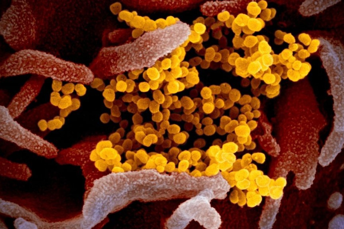 Έκτακτη προειδοποίηση του Παγκόσμιου Οργανισμού Υγείας - Το νέο στέλεχος H3N2 προκαλεί φόβο