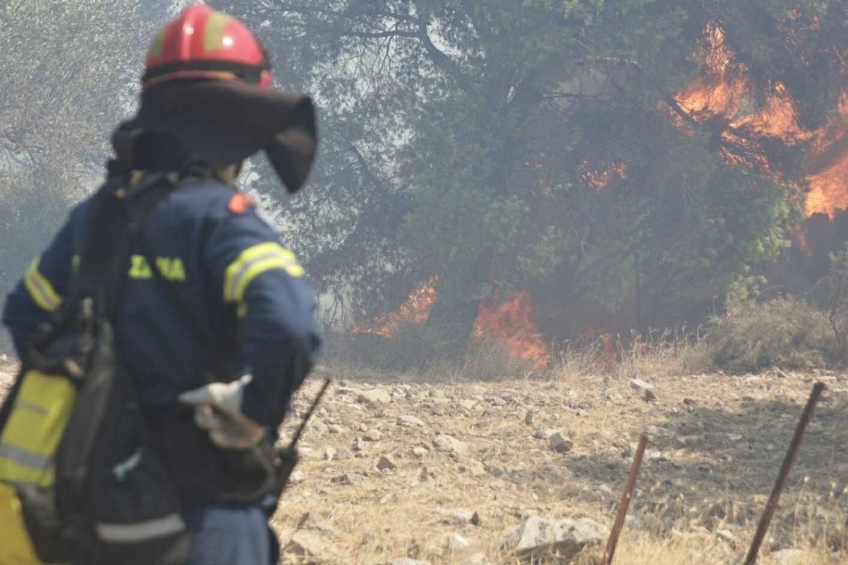 Πρέβεζα: Αυτόπτης μάρτυρας σε εμπρηστική ενέργεια ο Δήμαρχος - Αίτημα για κήρυξη σε έκτακτη ανάγκη