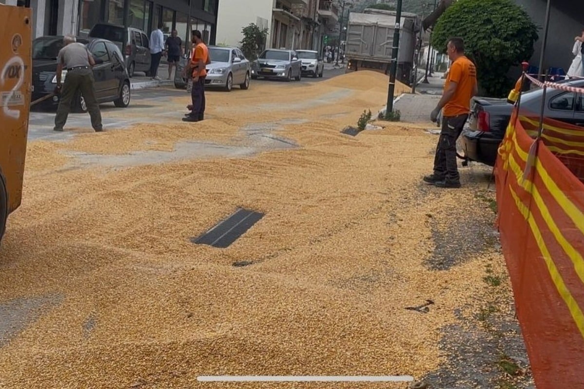 Απίστευτες εικόνες στην Αμφιλοχία: Ο κεντρικός δρόμος της πόλης «πλημμύρισε» από… καλαμπόκι