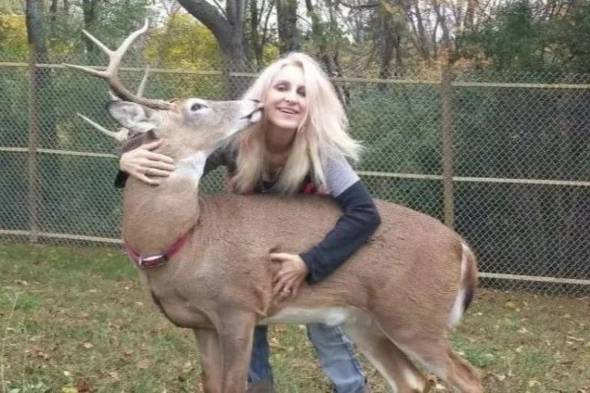 Τραγικός θάνατος 64χρονης: Της επιτέθηκε ελάφι που φρόντιζε επί χρόνια