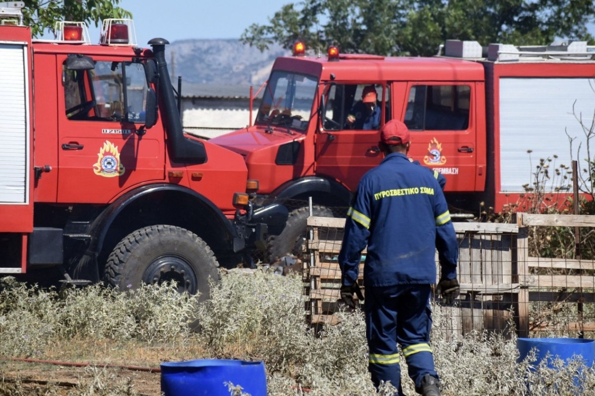 Φωτιά στο Κουνούπι Αργολίδας: Στη «μάχη» 44 πυροσβέστες, έξι εναέρια - «Ήχησε» το 112 για ετοιμότητα