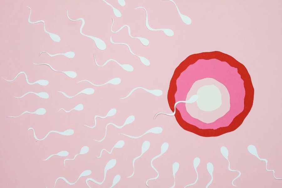 Δεκαοκτώ παιδιά γεννήθηκαν στην Ελλάδα από το σπέρμα του δότη με το καρκινικό γονιδίωμα