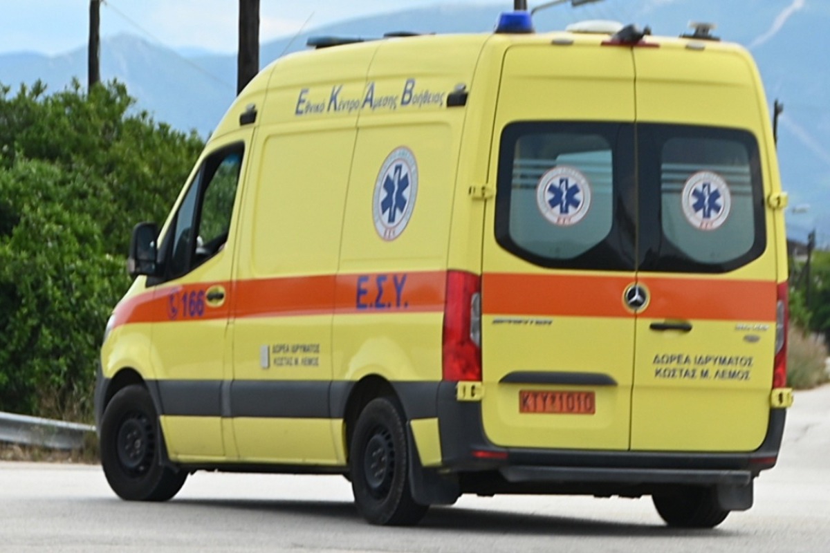 Τραγωδία στη Φθιώτιδα: 50χρονος πέθανε μετά από τσίμπημα μέλισσας - Έτρεξε να σωθεί και βγήκε εκτός δρόμου με το αυτοκίνητο