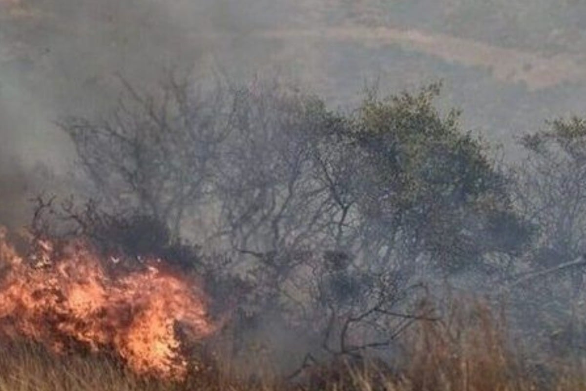 Ανεξέλεγκτη η φωτιά στον Μαραθώνα: Εκκενώνεται το Ανω Σούλι - Έκτακτες κυκλοφοριακές ρυθμίσεις