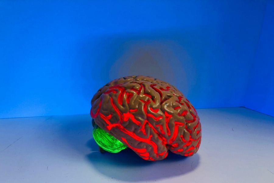 Γιατροί θεραπεύουν για πρώτη φορά τη νόσο του Χάντινγκτον και ξεσπούν σε δάκρυα συγκίνησης