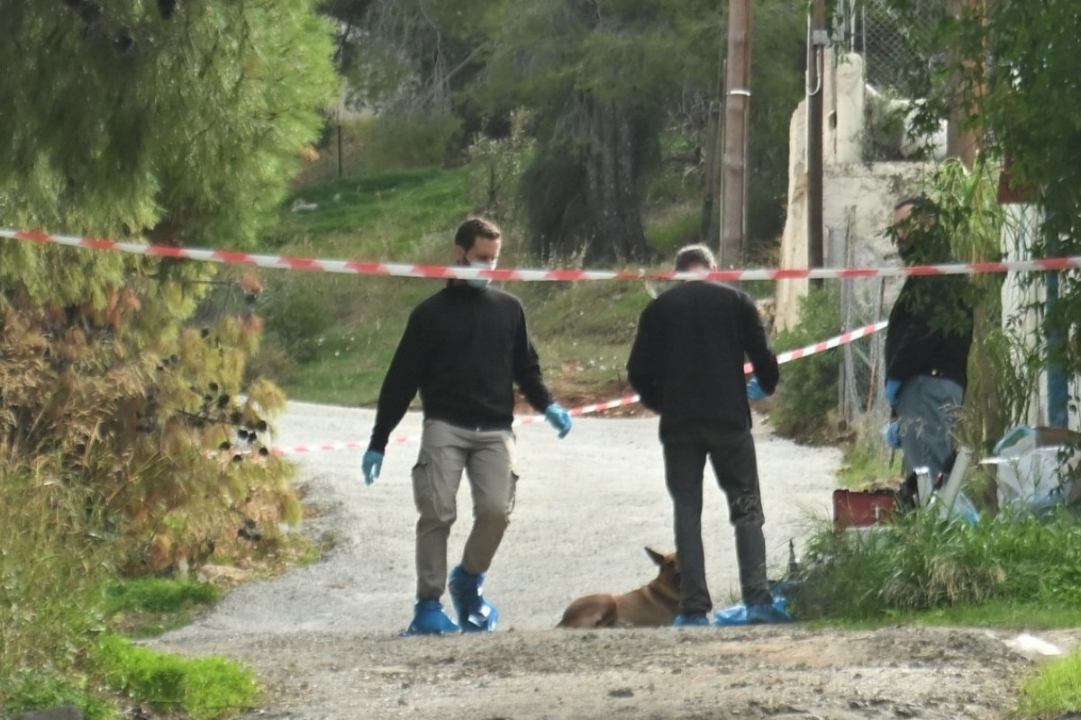 Δραματική ανατροπή στην άγρια δολοφονία στη Σαλαμίνα: Τη σκότωσε με σφυρί η νύφη της