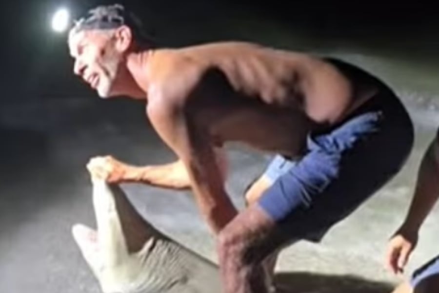 Η στιγμή που Αμερικανός προσπάθησε να βγάλει selfie με καρχαρία και αυτός τον δάγκωσε