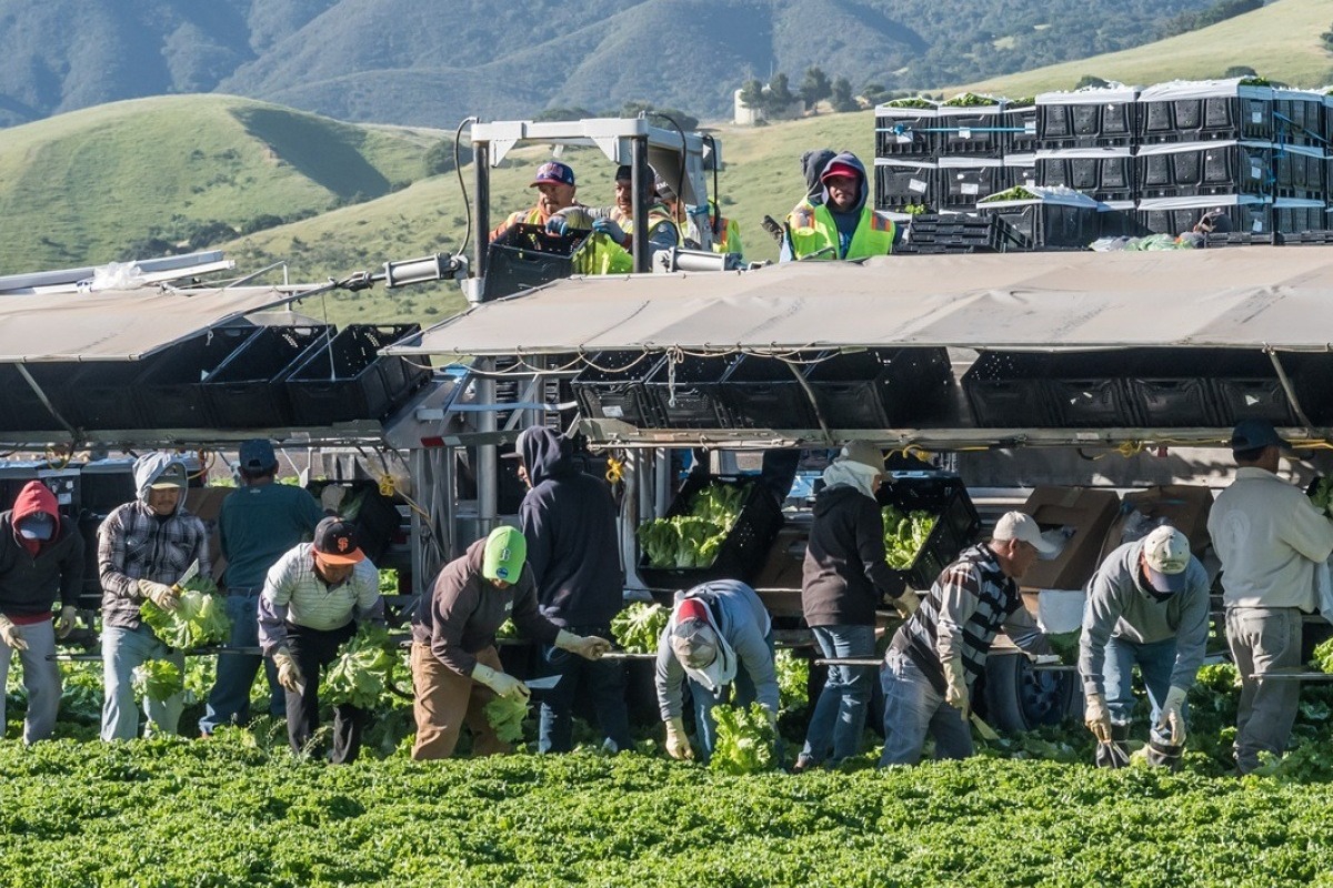 ΗΠΑ: Πακέτο στήριξης 12 δισ. δολαρίων ανακοίνωσε ο Τραμπ για τους αγρότες