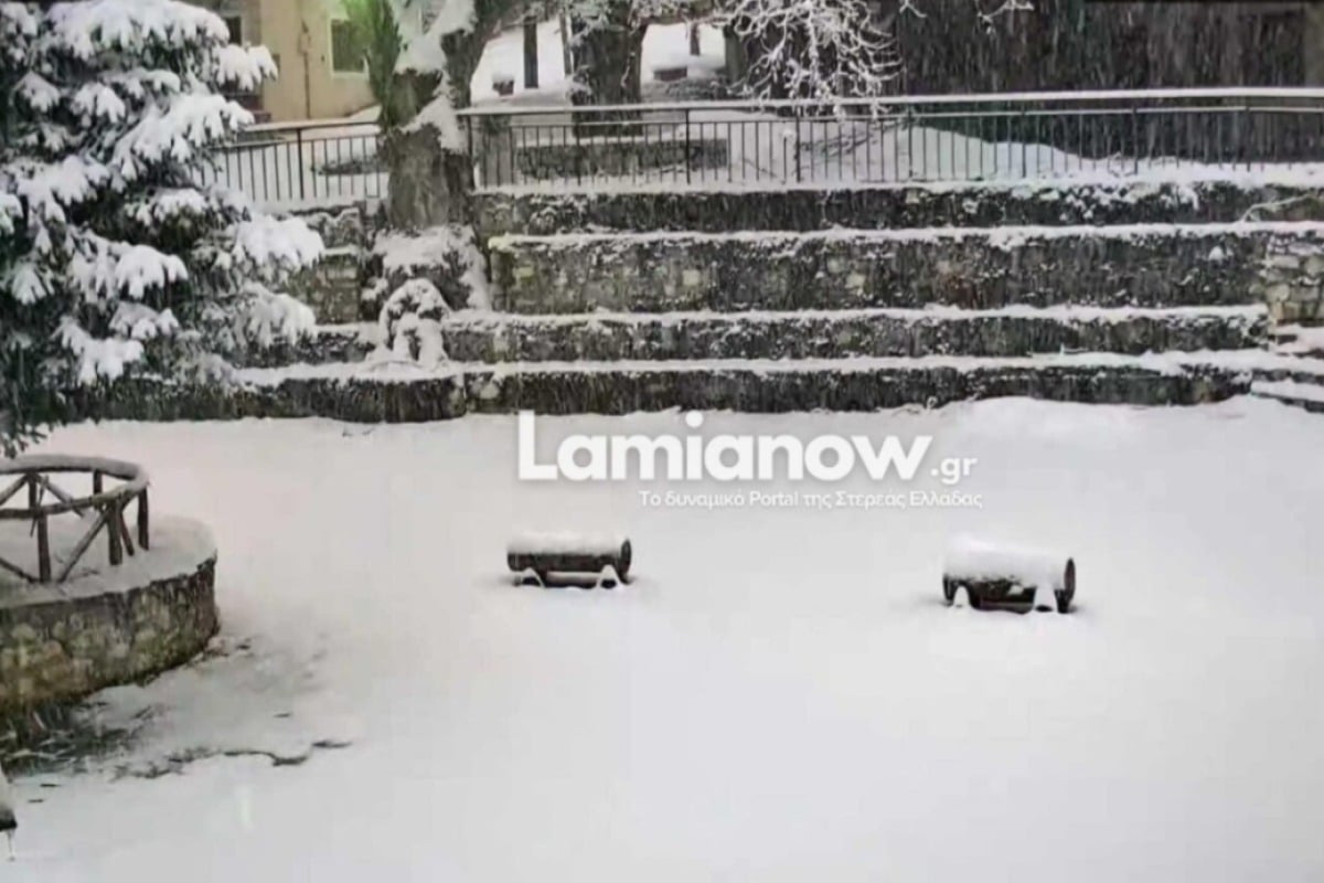 Χωριό της Λαμίας έχει βυθιστεί στο χιόνι - Αδύνατη η πρόσβαση