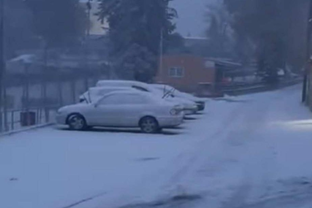 Στα λευκά η Θεσσαλονίκη: Ο Χορτιάτης «βούλιαξε» στο χιόνι – Ποιοι δήμοι κλείνουν σχολεία