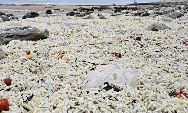 Bρετανία: Χιλιάδες τηγανητές πατάτες ξεβράστηκαν σε παραλία - Το ασυνήθιστο θέαμα