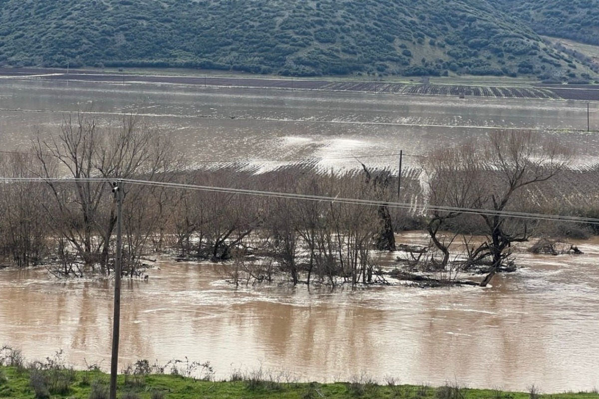 Υπερχείλισε ο Πηνειός έξω από τη Λάρισα: Πλημμύρισαν αγροτικές εκτάσεις - Βίντεο