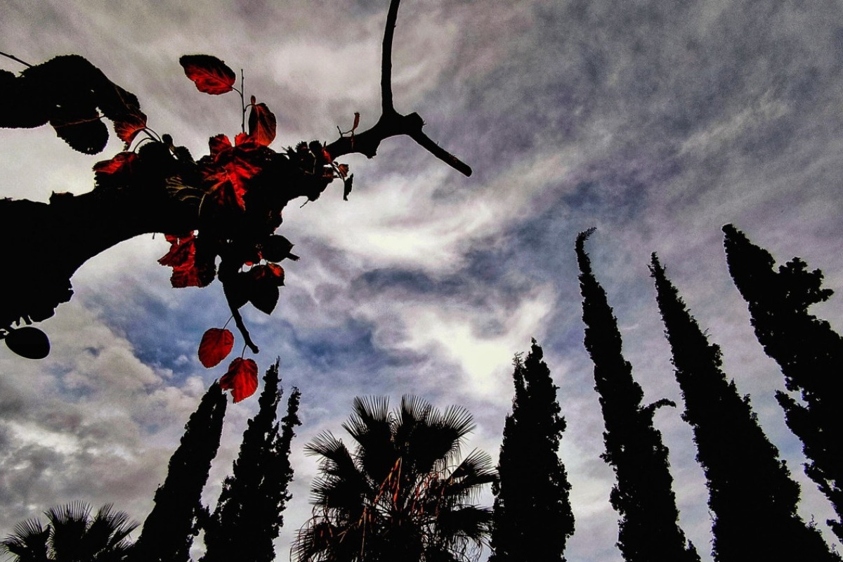 Καιρός Πρωτομαγιάς: «Θα κοιμηθούμε με άνοιξη, θα ξυπνήσουμε με χειμώνα» - Η πρόγνωση Καλλιάνου