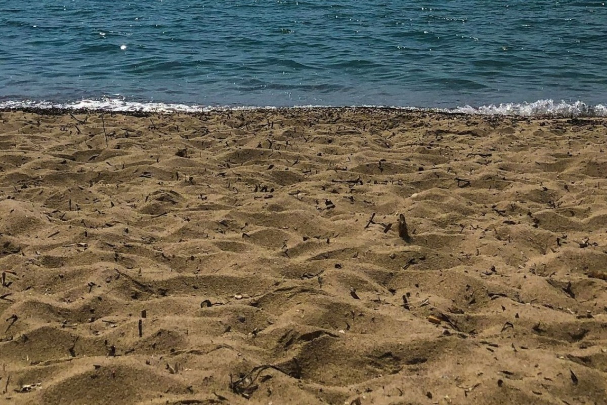 Θρίλερ στη Χαλκιδική: Σε άνδρα που πέθανε το 2004 ανήκουν τα οστά που βρέθηκαν σε παραλία