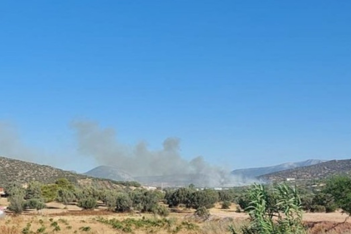 Φωτιά στα Καλύβια - Μεγάλη κινητοποίηση της Πυροσβεστικής