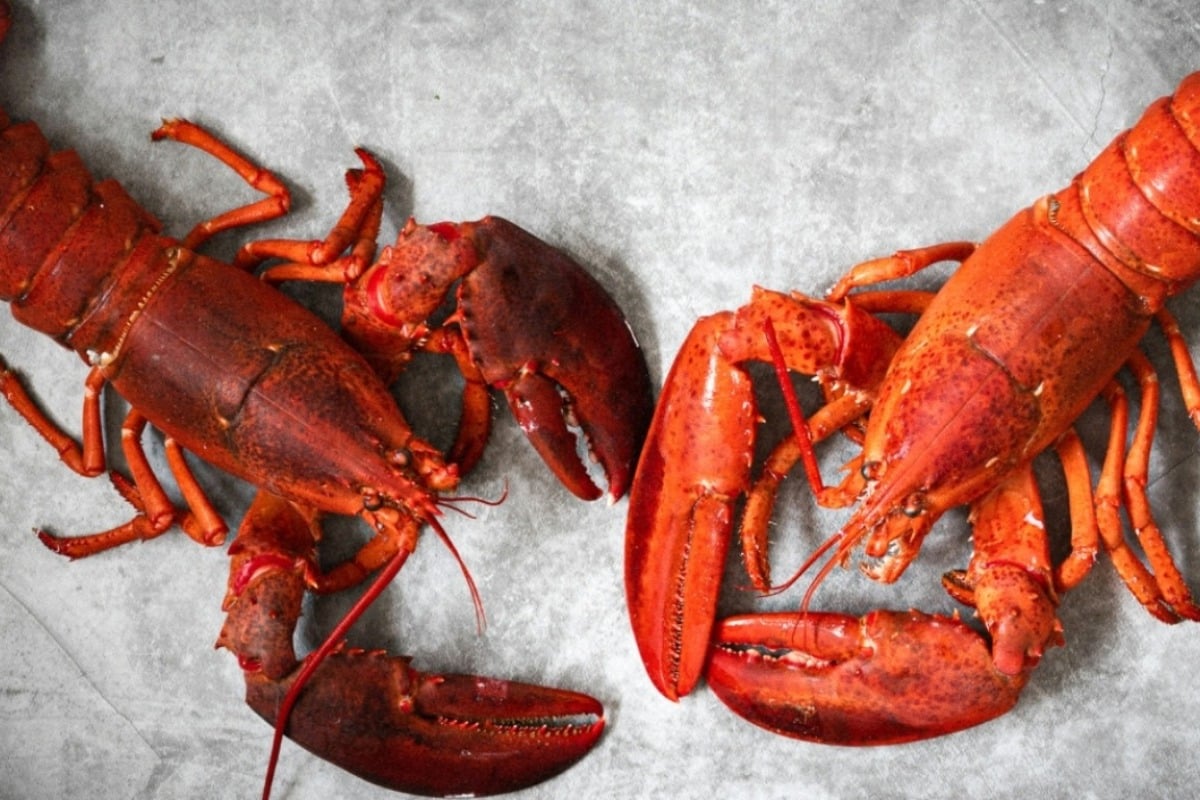 Έκλεψαν αστακούς αξίας 400.000 δολαρίων