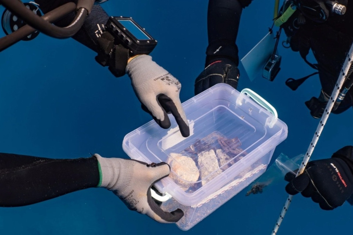 Νέο εύρημα στο ναυάγιο του πλοίου του Έλγιν στα Κύθηρα: Βρέθηκε θραύσμα πιθανόν από τον γλυπτό διάκοσμο του Παρθενώνα