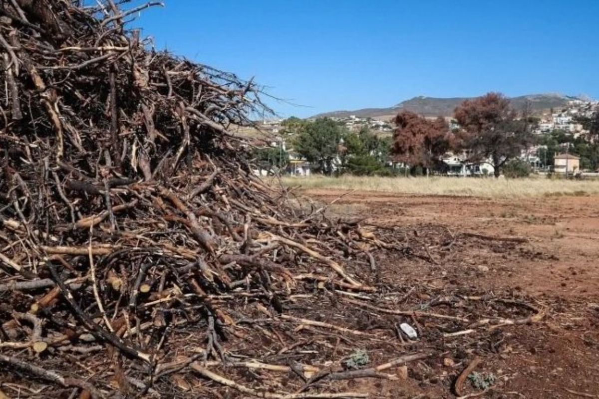 Ακαθάριστα οικόπεδα: Νέοι κανόνες και πρόστιμα – Τι αλλάζει με τον νόμο για την πυροπροστασία