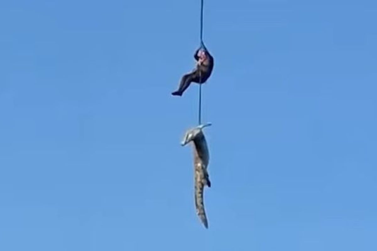 Τα μακάβρια ευρήματα στο στομάχι κροκόδειλου που κατασπάραξε 59χρονο στη Νότια Αφρική