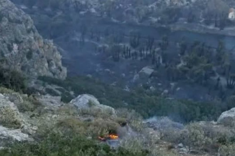 Φωτιά Ρέθυμνο: Πάνω από το 80% του φοινικόδασους της Πρέβελης κάηκε ολοσχερώς