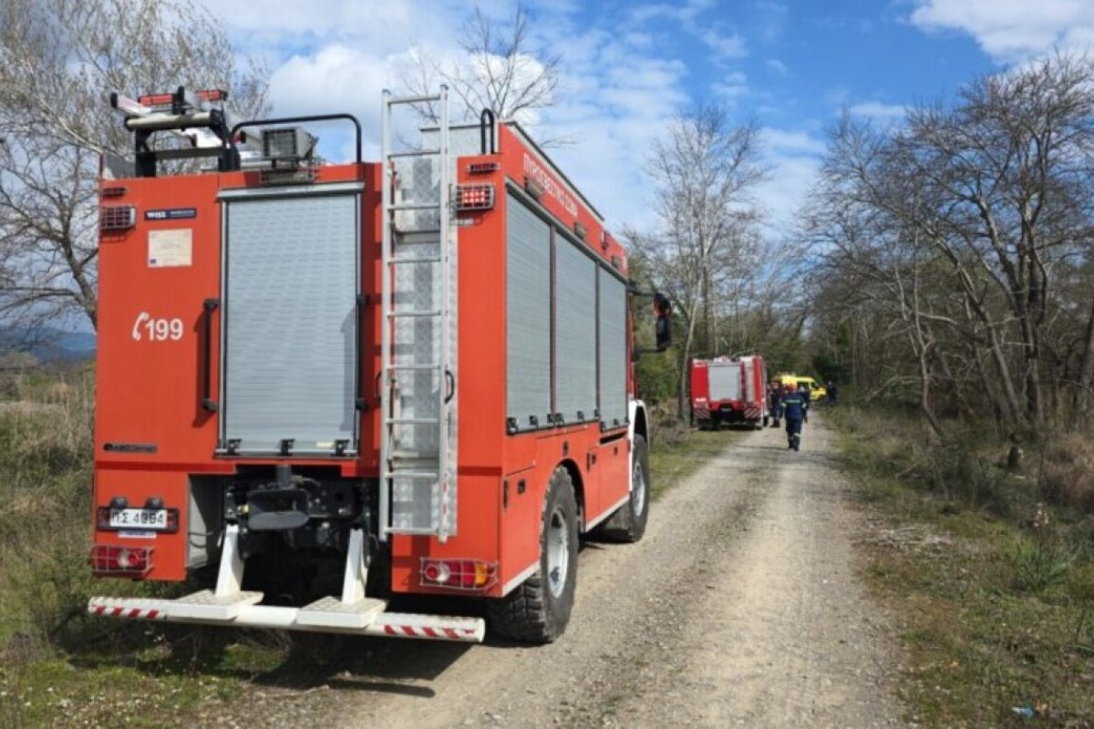 Τραγωδία στην Υπάτη: Νεκρός 68χρονος που καταπλακώθηκε από δέντρο μπροστά στα μάτια της συζύγου του
