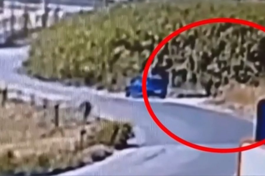 Κακουργηματική δίωξη στον 59χρονο για έξι φωτιές στη Σίνδο: «Τις έβαζα για να ξεδίνω από τη δουλειά»