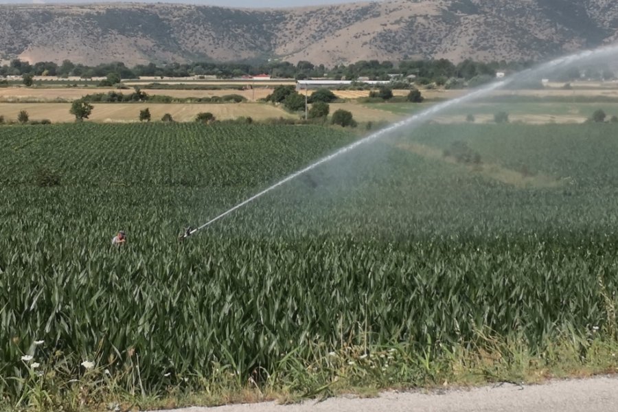 Καμπανάκι για την Θεσσαλία από τους επιστήμονες: Κάτω από τα χωράφια το νερό λιγοστεύει επικίνδυνα