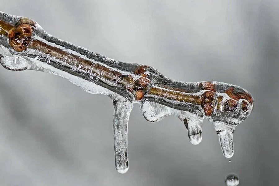 Καιρός - Μαρουσάκης: Έρχεται νέο κύμα ψύχους με τσουχτερό κρύο και χιόνια