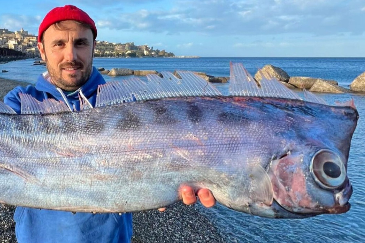 Σπάνιο ψάρι ξεβράστηκε σε παραλία της Σικελίας, δείτε φωτογραφίες