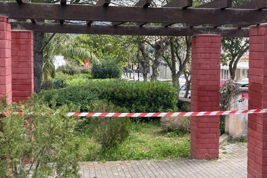 Κεφαλονιά: Γιατί δεν μετέφεραν την Μυρτώ στο νοσοκομείο οι 3 κατηγορούμενοι - «Περιμέναμε να την χτυπήσει ο αέρας να συνέλθει...»