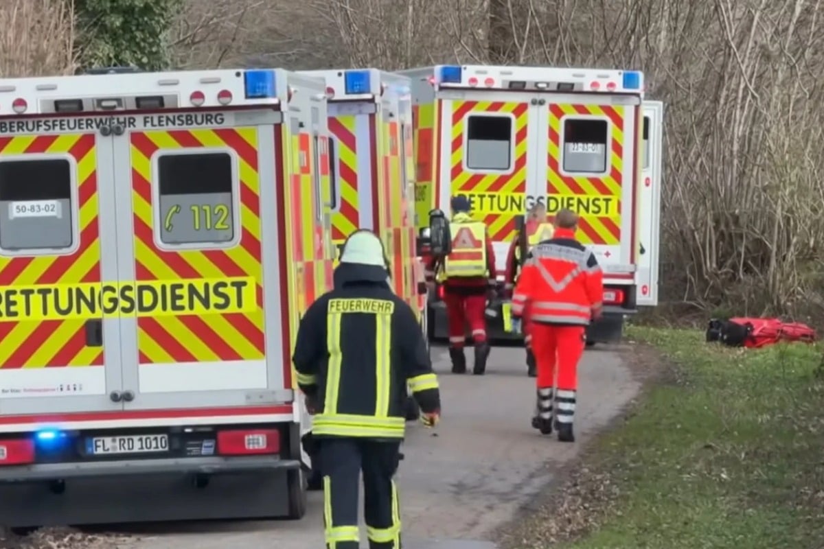 Ένα κυνήγι πασχαλινών αυγών με τραγικό τέλος: Δέντρο καταπλάκωσε μητέρες και παιδιά που συμμετείχαν στο έθιμο – Τρεις νεκροί