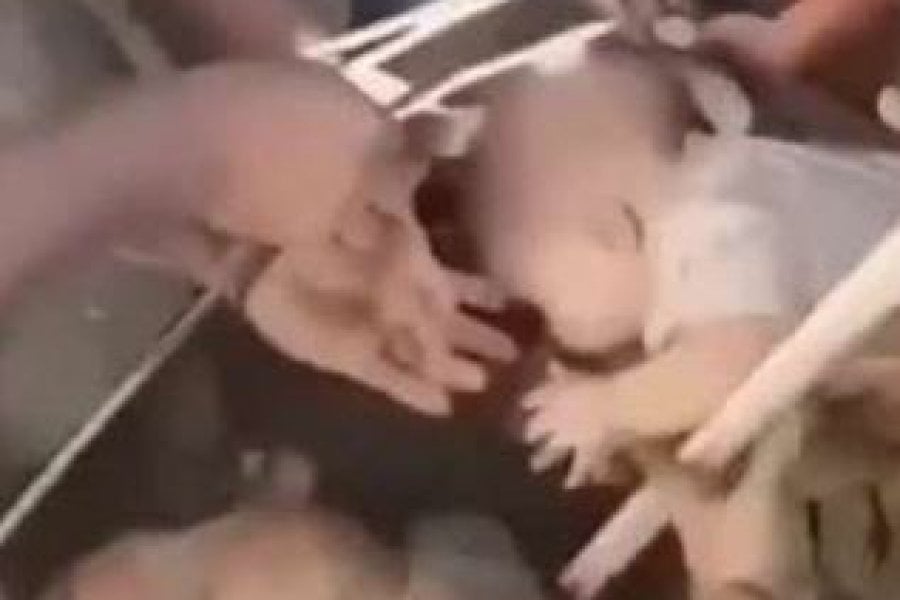 Σεισμός στην Κολομβία: Η συγκλονιστική στιγμή που διασώστες απεγκλωβίζουν μητέρα και βρέφος