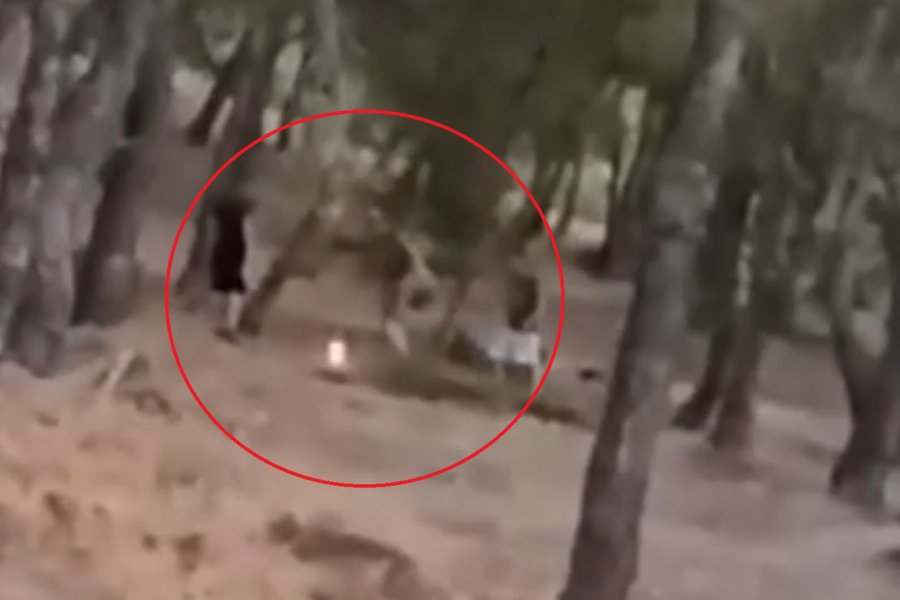Ανήλικοι έβαζαν φωτιά σε δάσος στα Βριλήσσια – Το επικίνδυνο challenge που σόκαρε