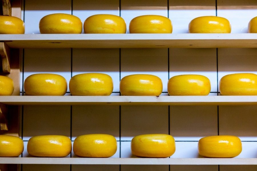 Τα πιο ακριβά τυριά του κόσμου - 