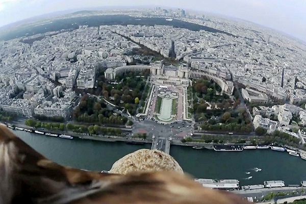 Τι βλέπει ένας αετός πάνω από το Παρίσι - Ένα εντυπωσιακό video