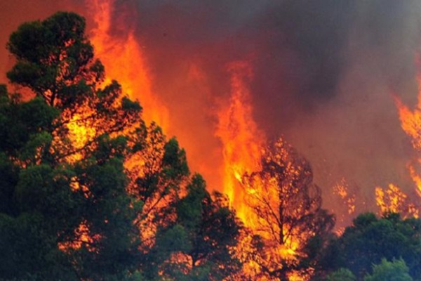 Μεγάλη φωτιά στη Χίο - Στο νοσοκομείο 6 άτομα με εγκαύματα 