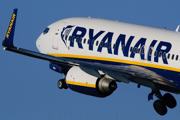 Επίθεση από χελιδόνια σε αεροπλάνο της Ryanair