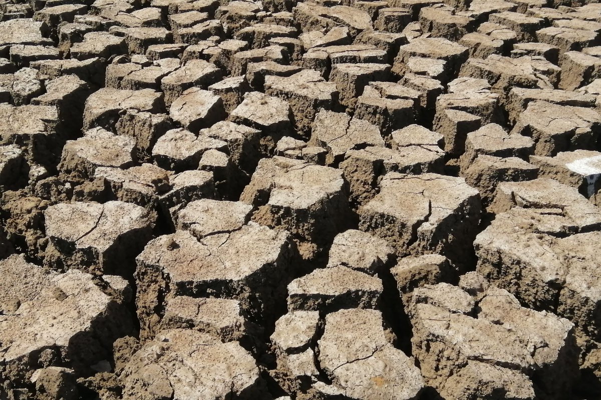Τρομακτική πρόβλεψη: Θα πεθάνουν 450.000 άνθρωποι το επόμενο εξάμηνο λόγω El Nino